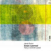 Obálka knihy: Eseje z pomezí. Texty o konkrétní poesii